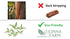 Shampoo, from Cinnamon leaves extraction, Hydrating and soothing, no artificial flavors, fulfates and silicones free, natural ingredients, color safe