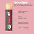 USDA Organic Lip Balm, USA Made with Natural Ingredients, 4 Pack Multi Flavor Moisturizer for Dry Lips