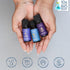 Set 6 Carnatia Starry Spell Fragrance Oil Magical & Calming Aromatherapy Blends for Stress Relief, Relaxation