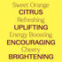 Plant Therapy Sweet Orange Essential Oil 10 mL (1/3 oz), 100% Pure, Natural Aromatherapy
