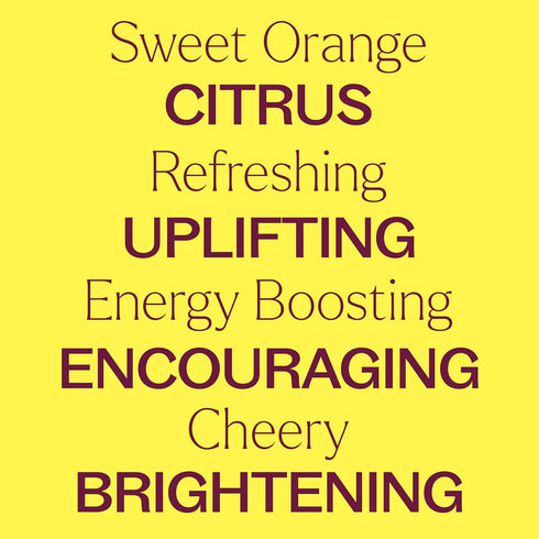 Plant Therapy Sweet Orange Essential Oil 100% Pure, Natural Aromatherapy, 100 mL (3.3 oz)