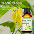 Ylang Ylang Essential Oil 3.38 oz, 100% Pure Ylang Ylang Aromatherapy Oil for Diffuser, Perfumes, Massage, Soap Making