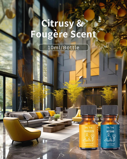 Set, Hotel Scent Diffuser Oil Luxury Hotel Fragrance Oils Collection, VEDA TINDA SCENT Waterless Diffuser Refills