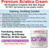 Sciatica Nerve Cream - Maximum Strength Comfort Cream for Feet, Hands, Legs, Back - 4 Oz