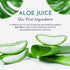 Plant-based Daily Organic Moisturizer for Women & Men, Ayurvedic Vegan Face and Body Lotion, pH-Balanced Non-Greasy