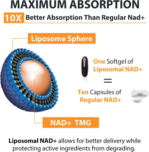 Liposomal NAD+ Supplement - 500 mg, High Absorption with TMG 250 mg for Cellular Energy & Healthy Aging
