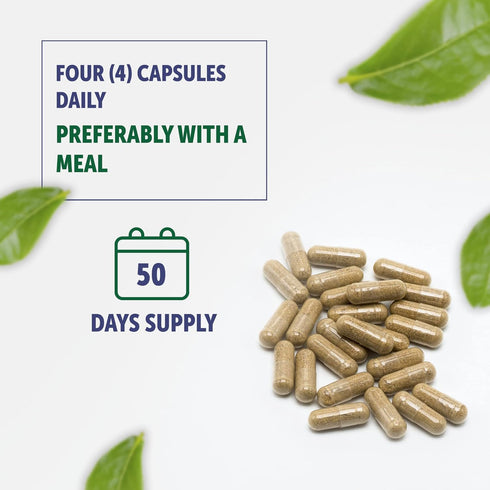 Bilberry Extract Capsules, 5000mg, 200 Count, Ultra Strength Supplement, Supports Eye Health, Gluten-Free & Non-GMO