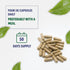 Bilberry Extract Capsules, 5000mg, 200 Count, Ultra Strength Supplement, Supports Eye Health, Gluten-Free & Non-GMO