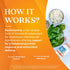 Doctors BEST Benfotiamine 150, 120 Veggie Caps, Supports Glycemic Balance, Non-GMO, Vegan