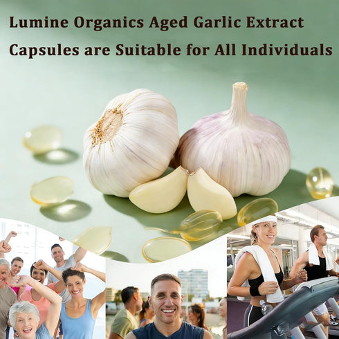 Lumine Organics 1PCS 7500mg 300Softgels,Vegetarian (1PCS-D) Aged Garlic Extract Capsules, Per Serving, Aged