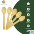 Birchwood Disposable Cutlery (100, Spoon)