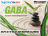 Superior Source GABA 100 mg, Quick Dissolve MicroLingual Tablets, 100 Count - Brain Health Support, Non-GMO