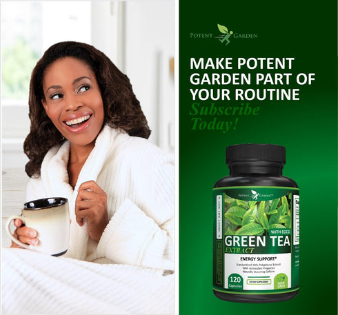 Green Tea Extract with EGCG - Natural Energy, Mental Focus, Immune Support, Antioxidant, 120 Capsules