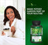 Green Tea Extract with EGCG - Natural Energy, Mental Focus, Immune Support, Antioxidant, 120 Capsules