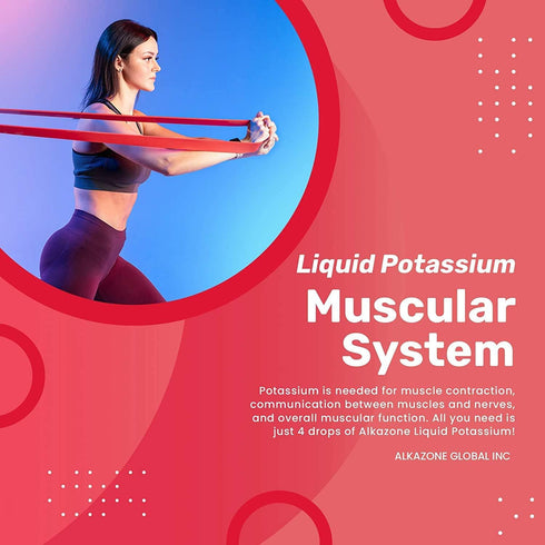 ALKAZONE Liquid Potassium+ - Concentrated Liquid Supplements for Faster Absorption, Tasteless Flavorless, 1.25 Oz, Pack