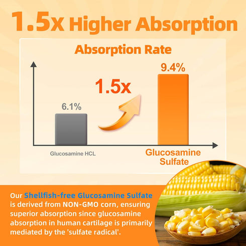 ZEBORA Glucosamine Chondroitin Joint Support Supplement - with MSM, Turmeric, Boswellia for Joint Health & Relief (120