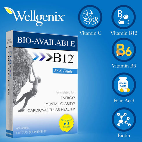 Wellgenix Bio Available Daily Multivitamins (60 ct) - Focus Support Formula with Methyl B12, B6, Folate & Biotin