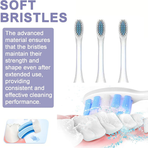 MISTYFRESH 6 Sonic Electronic Toothbrush with Modes and Smart Timer Perfect for Men and Women Clean Teeth and Gums