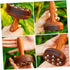 Portable Massager for Deep Tissue Muscle Relief Detachable Wooden Roller with Balls for Neck Back Arm and Thigh