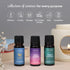 Set 6 Carnatia Starry Spell Fragrance Oil Magical & Calming Aromatherapy Blends for Stress Relief, Relaxation