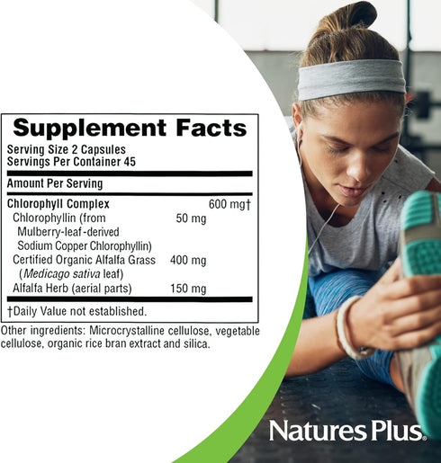 Natures Plus Chlorophyll Complex - 90 Capsules - 600 mg Organic Alfalfa Superfood Supplement