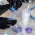yuntop 200 Pack 40ml Disposable Urine Cups, Collect Urine Specimen Cups, Plastic Urine Collection Cups for Pregnancy