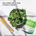 Sprout Living Organic Broccoli and Kale Sprout Mix, Freeze Dried Superfood Greens Powder, 100% Pure, Vegan, Non-GMO,