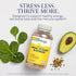 SOLARAY Mega Vitamin B-Stress, Timed Release Vitamin B Complex with B12, Stress & Energy Support, 240 CT