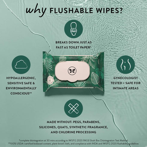 The Honest Company Plant-Based Flushable Wipes, 99% Water, Hypoallergenic, Fragrance Free, 126 Count
