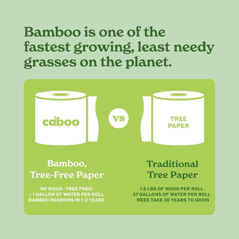 Packaging, 2 Pack 12 300 Caboo Tree Free Unbleached Toilet Paper | Plastic Free Septic Safe, Eco Friendly, Chemical