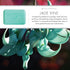 Pre de Provence Artisanal Soap Bar, Enriched with Organic Shea Butter, Natural French Skincare, 8.8 Ounce, Jade Vine