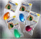 Magister 65905 Eggsercizer, Soft Green, Single