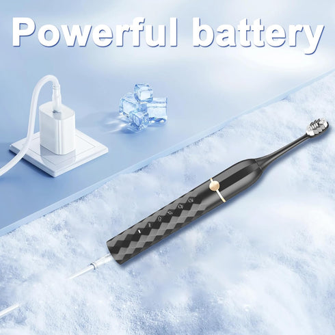 Set, 10 IPX8 2-Minute 42000 5 Seapeoa Sonic Electric Toothbrush Equipped with Brush Heads and Travel Case, Waterproof