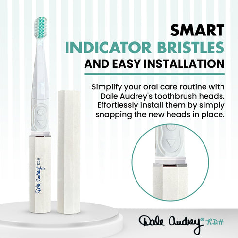 Ayurvedic Quick Sonic Toothbrush Head Replacement for Adults, DailyClean Toothbrush, 2 Count