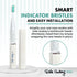 Ayurvedic Quick Sonic Toothbrush Head Replacement for Adults, DailyClean Toothbrush, 2 Count
