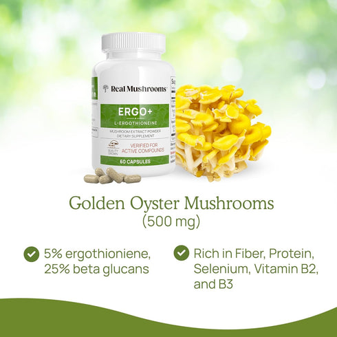 Real Mushrooms L-Ergothioneine, Golden Oyster Mushroom Extract (60ct) - Immune Support & Brain Supplement