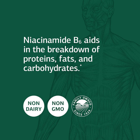 Standard Process Niacinamide B6 Whole Food Energy and Metabolism Supplements, 90 Capsules