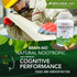 Brain Aid Memory Matters Cognitive Support Supplement, Natural Nootropic with Neumentix Spearmint Extract, 90 Ct