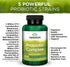 Swanson Probiotic Complex - 4.2 Billion CFU, 5-Strain Digestive Health Supplement with Prebiotic FOS - 120 Veggie DRcaps