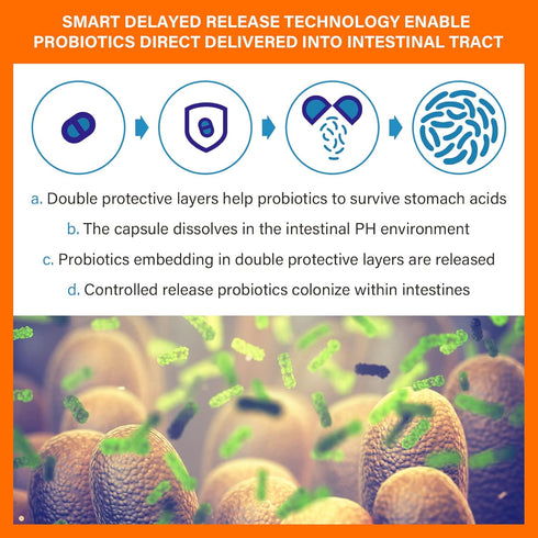 60 Billion Probiotics for Women and Men, 19 Strains, 5 Organic Prebiotics for Gut Digestive & Immune Health, Vegan