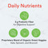 SmartyPants Kids Fiber & Veggies - 60 Count, Prebiotic Fiber Gummies, Vegan, Gluten Free, Mixed Berry Flavor