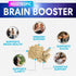 Brain Supplements for Memory and Focus, Nootropic Support for Concentration, 60 Capsules