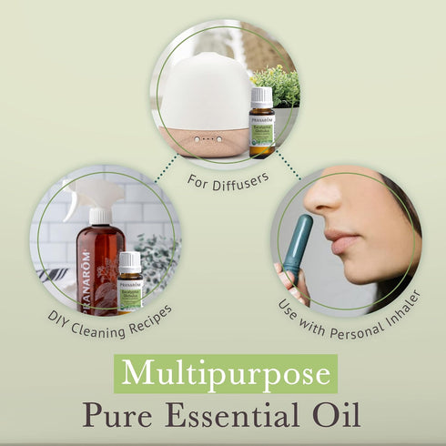 Pranarom USDA Certified Organic Eucalyptus Globulus Essential Oil (30ml) - 100% Pure for Aromatherapy, Relaxation