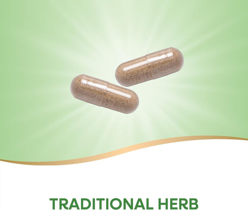 Nature's Way Butcher's Broom Root, Traditional Leg Vein Support*, 100 Vegan Capsules