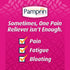 Pamprin Maximum Strength Max Formula - Acetaminophen for Menstrual Symptoms Relief, 24 Caplets