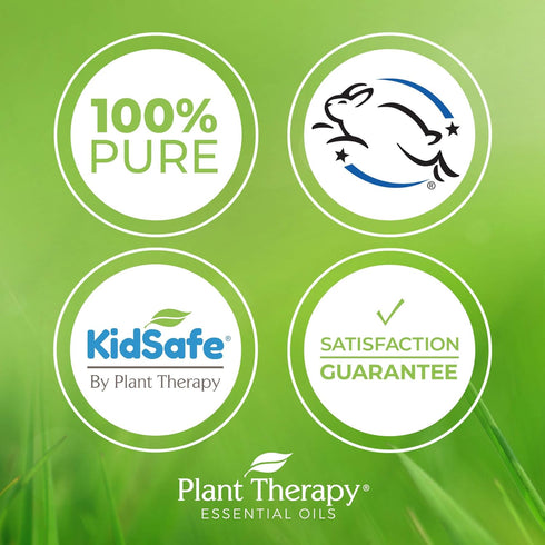 Plant Therapy Organic Sunflower Carrier Oil, 4 oz Base Oil for Aromatherapy