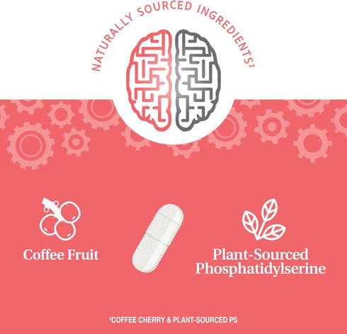 21st Century Brilliant Brain Performance, 30 Count