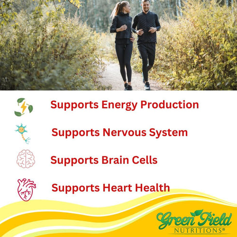 Greenfield Nutritions Halal Vitamin B12 1000mcg - Cherry Flavored Fast Absorption 60 Sublingual B12 Tablets - Natural B12 Halal Vitamins, Supports Brain, Blood Cell Health and Energy Metabolism