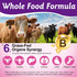 Vortexonix 2 Pack Beef Organ Supplement for Women, Natural Grass Fed Beef Liver Capsules, Hormone Balance for Women