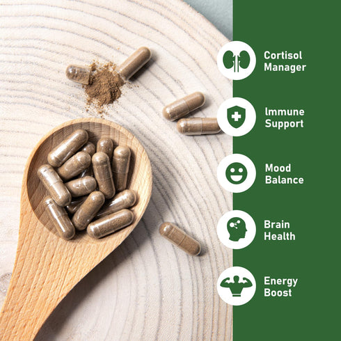KSM-66 Immune 60 GlowEver Ashwagandha Supplements with L-Theanine Moringa Organic Mushrooms Complex Ginseng Ginkgo